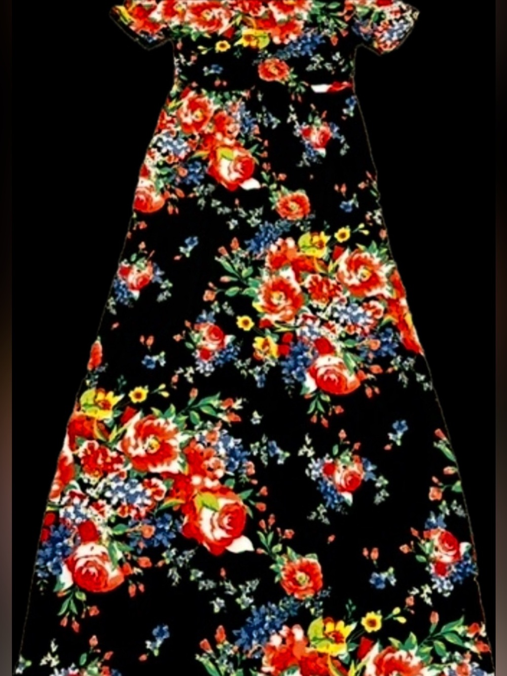 Woman’s Black Floral Short-Sleeve Dress - Red & Blue Bloom, Black Background S
